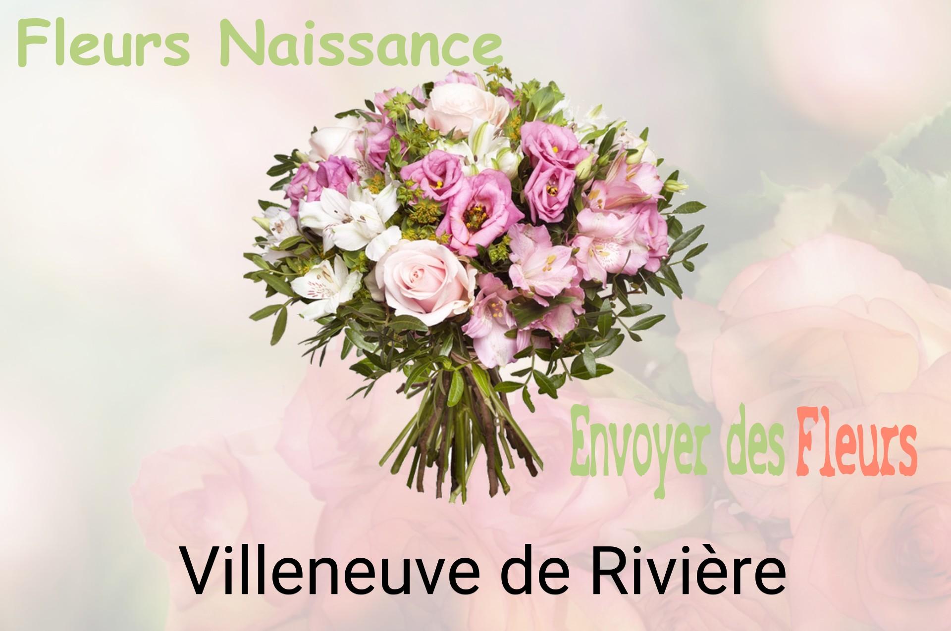 Bouquet de fleurs de naissance livré à Villeneuve-de-Rivière