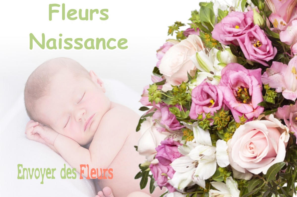 lIVRAISON FLEURS NAISSANCE à VILLENEUVE-DE-RIVIERE