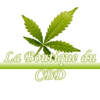 LA BOUTIQUE DU CBD VILLENEUVE-DE-RIVIERE 